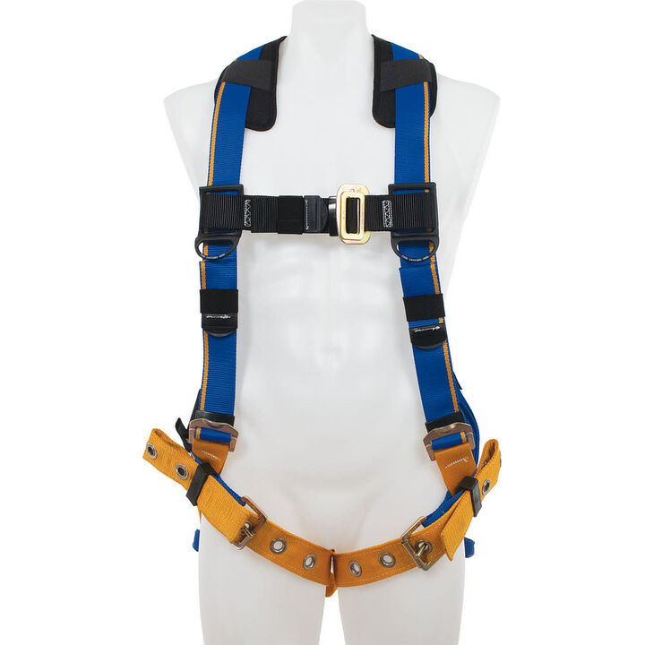 Werner H212001XAQC038 Blue Armor Standard Full Body Harness Small